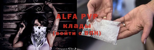 индика Видное