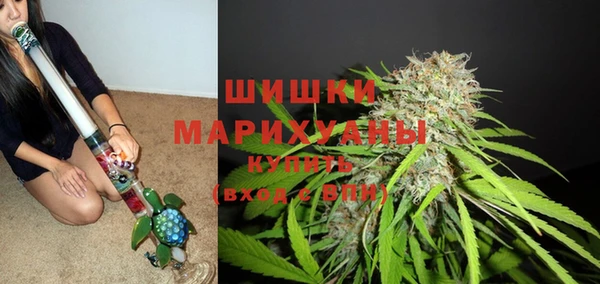 твердый Богородск