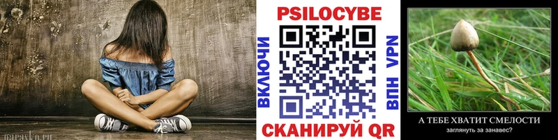 площадка клад Верещагино Галлюциногенные грибы Cubensis