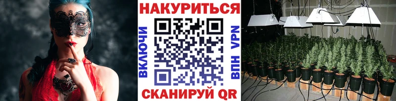 Канабис сатива  Верещагино 